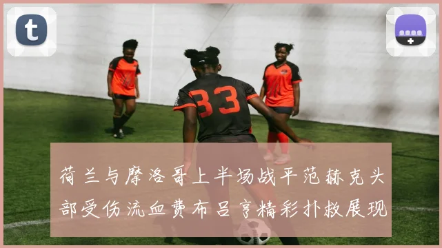荷兰与摩洛哥上半场战平范赫克头部受伤流血费布吕亨精彩扑救展现实力